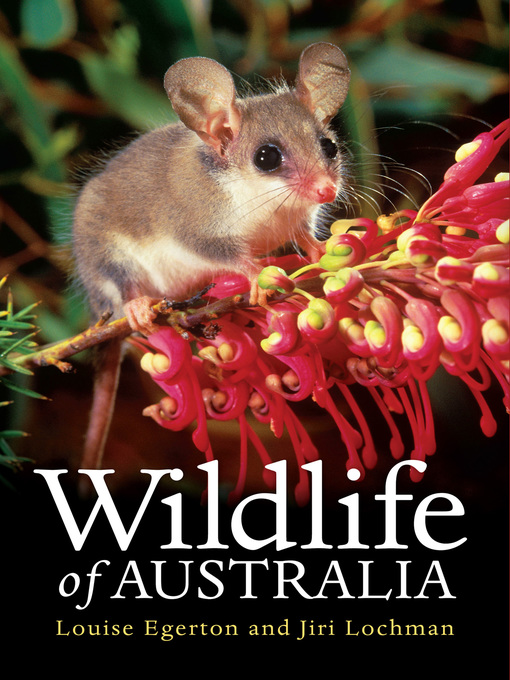 Title details for Wildlife of Australia by Louise Egerton - Wait list